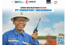 Buka Sampai 27 Desember, Freeport Indonesia Cari Karyawan untuk 5 Posisi 