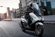 Motor Matic Premium Untuk Touring, Ini Kelebihan dan Kekurangan Honda Forza