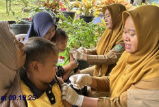 Lonjakan Campak di Sumsel: 446 Positif, 4 Daerah termasuk Prabumulih Masih KLB
