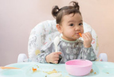 Aturan Makan untuk Anak dan Cara Menerapkannya