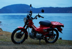 Kelebihan dan Kekurangan Honda CT125, Motor Adventure yang Nyaman dan Irit
