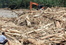 Kapolri Turun Tangan! Ada Dugaan Kejahatan Hutan di Balik Tumpukan Kayu Banjir Sumatera