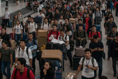 Hampir 70 Persen TKA di Sumsel Berasal dari China, Disnakertrans Pastikan Seluruhnya Legal