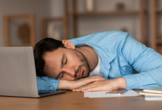 Bukan Sekadar Istirahat, Tidur Siang Ternyata Punya Manfaat untuk Kesehatan 
