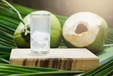 ﻿Detoksifikasi Usus, 5 Pilihan Minuman Terbaik untuk Kesehatan Tubuh