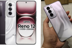 Harga Turun Drastis! Oppo Reno 12 Series Jadi Incaran Konten Kreator di 2026
