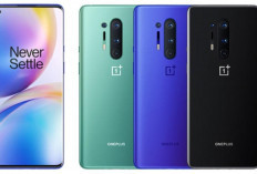 OnePlus 8, Smartphone Flagship dengan Performa Tangguh dan Fitur Menawan