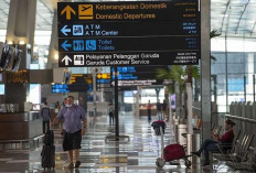 Waspada Nipah, Kemenkes Perkuat Pengawasan di Bandara Internasional