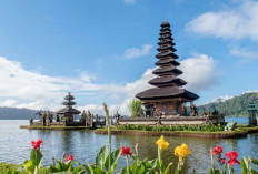 Selamat! Bali Masuk Daftar Destinasi Terbaik di Dunia 2024 Versi TripAdvisor, Ungguli London dan Paris