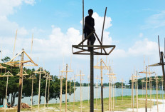80 Pohon Pinang Siap Guncang Festival Kemerdekaan: Event Sumatera Ekspres!