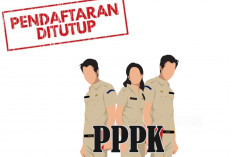 Pendaftaran Seleksi PPPK 2024 Ditutup, 1,6 Juta Non-ASN Sudah Mendaftar