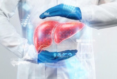 5 Herbal Alami yang Membantu Sehatkan Liver, Ada Temulawak dan Kunyit