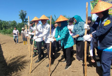 99 Hektar Lahan Potensi Ditanam Padi Gogo : Apresiasi Pemkot Prabumulih, Dinas Pertanian Salurkan Pompa Air 