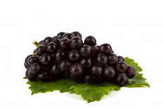 Anggur Hitam: Buah Kecil dengan Manfaat Kesehatan yang Luar Biasa
