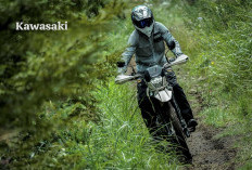 Kawasaki KLX 230 Sherpa S, Motor Off Road Untuk Berbagai Rintangan