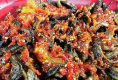 Hobi Konsumsi Daging Belut? Ini 4 Manfaatnya Untuk Kesehatan