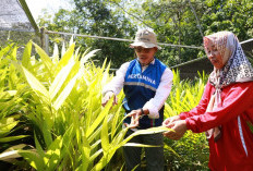 Inovasi Desa yang Menyatukan Kearifan Lokal dan Sains Modern