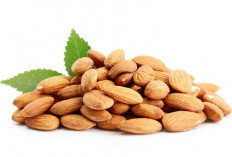 Bisa Jadi Teman Diet Untuk Menjaga Berat Badan, Ini 5 Manfaat Kacang Almond Untuk Kesehatan