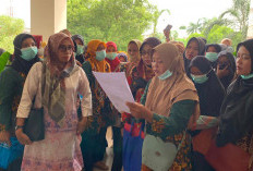 Perjuangkan Honorer Tak Lolos PPPK, Pemkot Prabumulih Bakal Lobi BKN