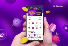 Misi Seru! Cara Mudah Menghasilkan Uang dengan Cashtree