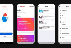 Ikut Survei Online, Raih Saldo DANA Tanpa Modal