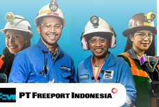 Lulusan SMA Sarjana Coba Deh Daftar, PT Freeport Indonesia Lagi Buka Lowongan Besar-Besaran
