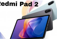 Redmi Pad 2, Tablet Serbaguna dengan Harga Terjangkau dan Fitur Lengkap