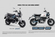 Dua Motor Mini Bergaya Ikonik, Siapa Lebih Menarik Honda Monkey Vs Honda ST 125 Dax