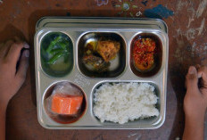 8.000 Dapur MBG Ditargetkan Beroperasi, BGN Percepat Verifikasi