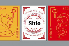 Ramalan Shio Naga, Shio Ular, Shio Macan, Shio Kelinci, Shio Kambing Siang Ini