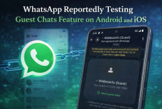 WhatsApp Kembangkan Guest Chat, Bisa Chat Tanpa Akun