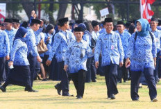 BKN Sebut 370 Instansi Bisa Umumkan Hasil Seleksi PPPK 2023, Honorer Siap-Siap