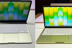MacBook Neo Segera Masuk Indonesia, Laptop Apple Rp10 Jutaan Muncul di Postel