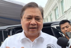 Pemerintah Luncurkan Program Magang Berbayar Mulai 15 Oktober 2025