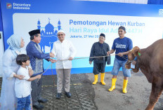 Berbagi Idul Adha, BRI Group Distribusikan lebih dari 5000 Hewan Kurban di Berbagai Daerah di Indonesia
