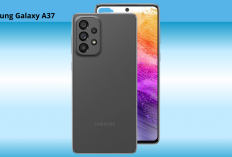 Bocoran Samsung Galaxy A37 Terungkap: Layar 120Hz, Exynos 1480, dan Baterai Jumbo