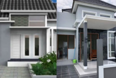 Pilihan Warna Cat Teras Minimalis yang Sedang Tren di 2026