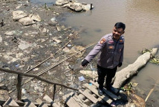 Madi Diterkam Buaya Saat Buang Air di Sungai Jejawi OKI, Tangan Alami Luka Sobek