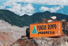 Pesona Wisata Sejuk di Sumsel: Menjelajahi Danau Ranau dan Gunung Dempo