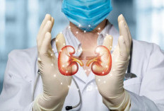5 Cara Sehat Jaga Ginjal Agar Tetap Berfungsi Optimal