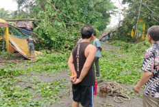 Akses Jalan di Muara Enim yang Tertutup Pohon Tumbang Sudah Bisa Dilalui