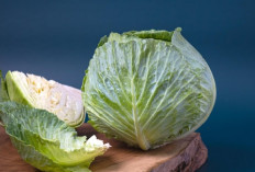 Jangan Anggap Remeh Kubis! Inilah Manfaatnya yang Bikin Tubuh Kebal dari Segala Penyakit
