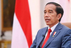 Jokowi Tegaskan Jika Presiden Boleh Kampanye dan Memihak