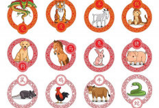 Ramalan Shio Ayam, Shio Macan, Shio Ular, Shio Naga, Shio Kelinci Hari Ini
