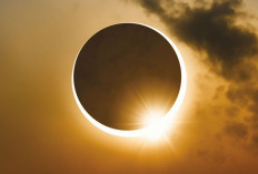 Fenomena Gerhana Matahari Cincin Api Hiasi Langit 17 Februari 2026, Indonesia Kebagian?