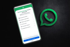 WhatsApp Plus Berbayar Mulai Diuji, Ini Fitur Premium dan Harganya