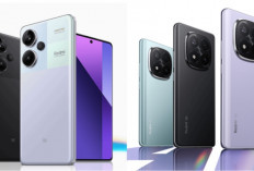 Rekomendasi HP Redmi 5G 2025, dari Seri Standar hingga Pro+