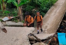 Jembatan Amblas, Butuh Perhatian Serius: Warga Sungai Gambir Gunung Ibul Nekat Lewat Jalur Berbahaya