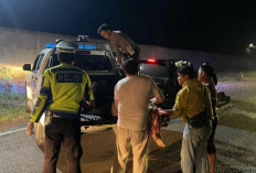 Truk Tabrak Innova di Jalan Lintas Muara Enim–Prabumulih: Dua Meninggal, Pelaku Kabur!
