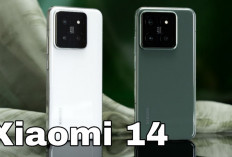 Rekomendasi HP Xiaomi Terbaik 2026: Dari 2 Jutaan hingga Flagship